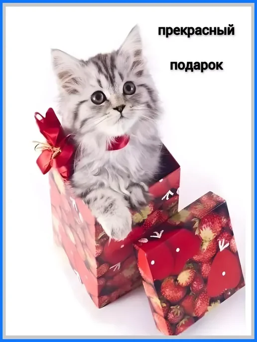 Соковыжималка для цитрусовых ручная, белый, фото 7