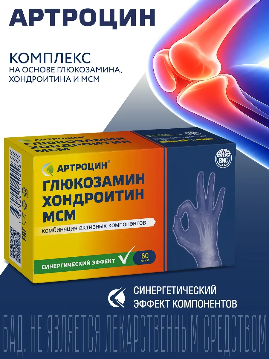 Глюкозамин Хондроитин МСМ капсулы 0,46г №60 (БАД)