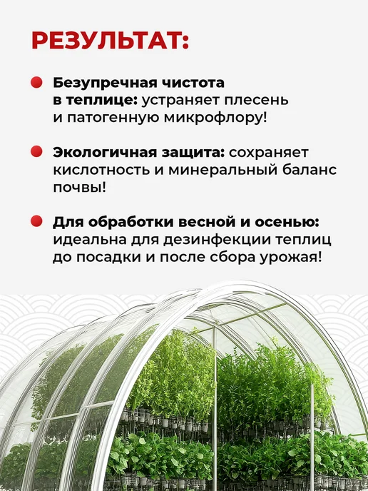 Koyo Набор средств для обработки теплиц от плесени, Средство теплицы и грибка, фото 3