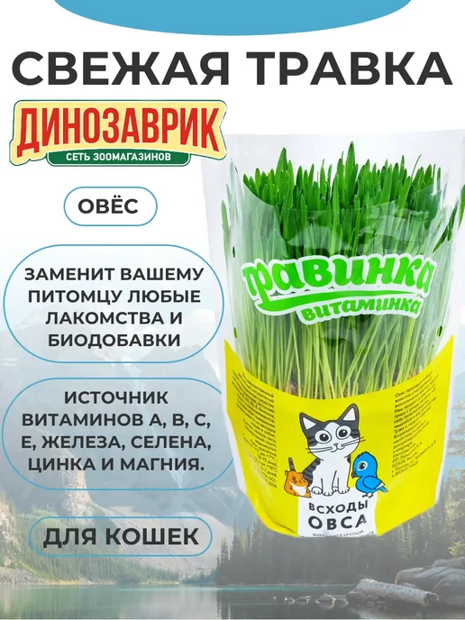 Травинка-витаминка Лакомство для кошек Свежая травка, овёс 300 гр, 300 г