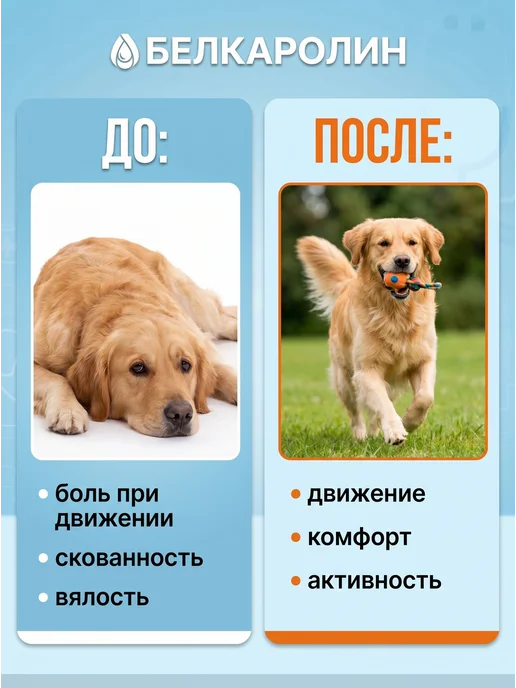 Белкаролин Мелоксивет, 5 флаконов, 10 мл, фото 5