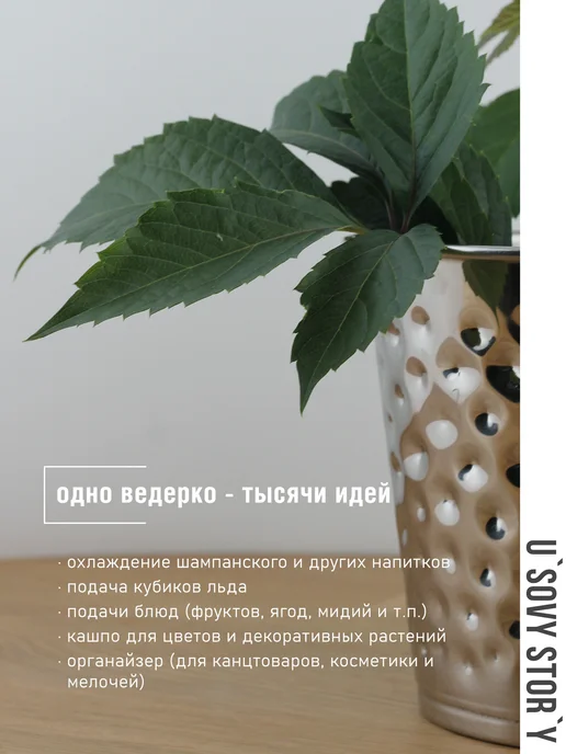 u`Sovy stor`y Ведёрко для льда и шампанского объем 1.8 литр Verdi, серый, фото 2