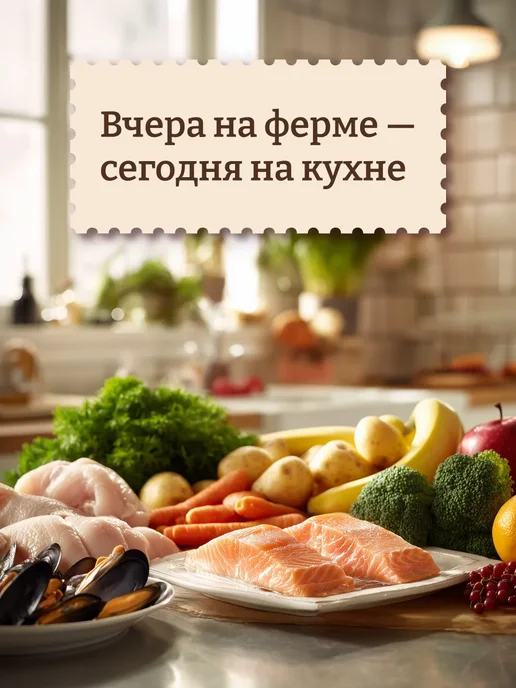 Сухой корм NOW'KITCHEN для собак, пожилые, индейка, 1,59 кг, фото 4