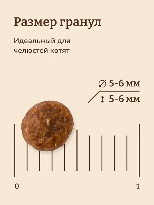 Сухой корм NOW'KITCHEN Котят Свежей для собак, индейка, 0,4 кг, фото 5