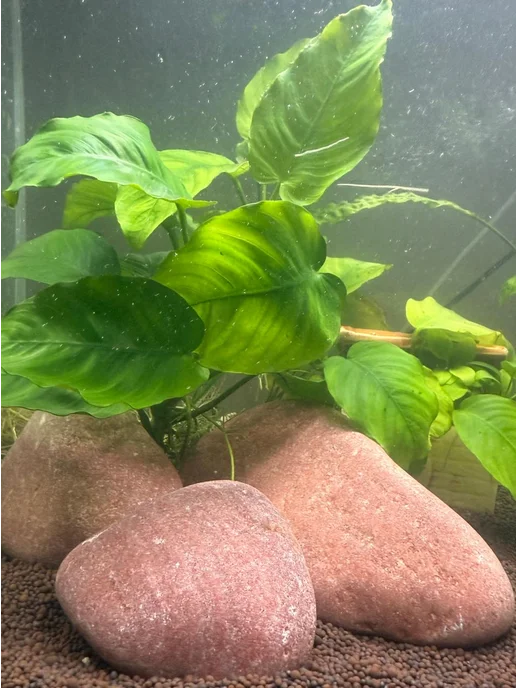 Fish Paradise Камни для аквариума кварцит натуральный, красный