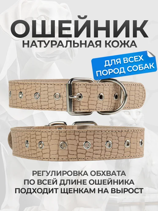 АРКОН Ошейник из натуральной кожи, бежевый