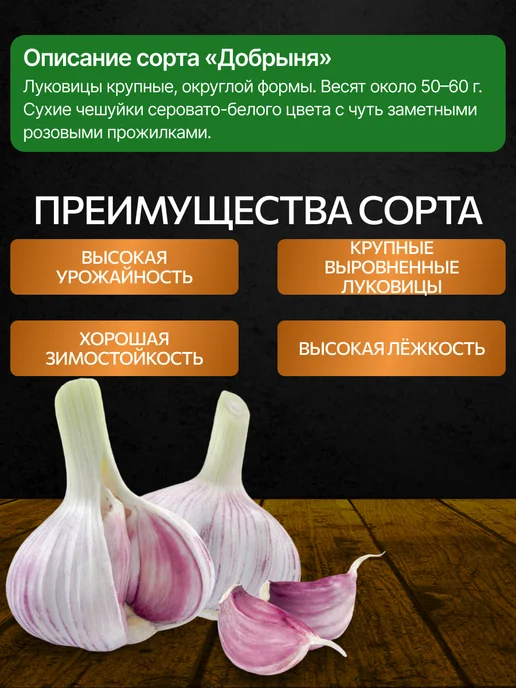 ФЕРМЕРСКИЕ СЕКРЕТЫ Чеснок на посадку осенью Добрыня 0.5кг, 500 г, фото 2