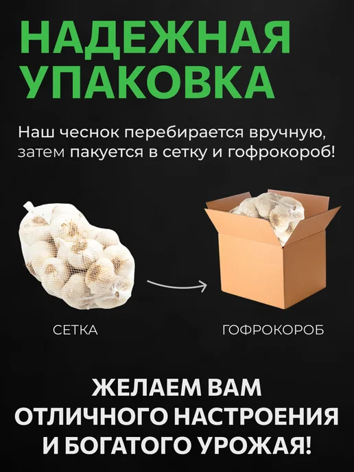 ФЕРМЕРСКИЕ СЕКРЕТЫ Чеснок на посадку осенью Добрыня 0.5кг, 500 г, фото 3