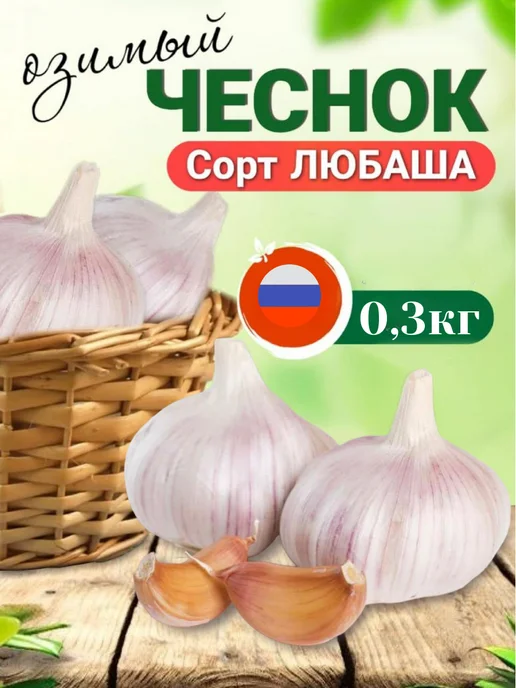 ФЕРМЕРСКИЕ СЕКРЕТЫ Чеснок на посадку осенью Любаша 0.3кг, 300 г