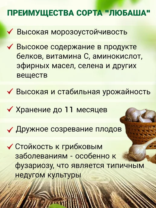 ФЕРМЕРСКИЕ СЕКРЕТЫ Чеснок на посадку осенью Любаша 0.3кг, 300 г, фото 2