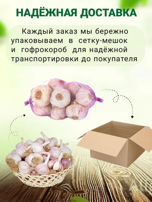 ФЕРМЕРСКИЕ СЕКРЕТЫ Чеснок на посадку осенью Любаша 0.3кг, 300 г, фото 3