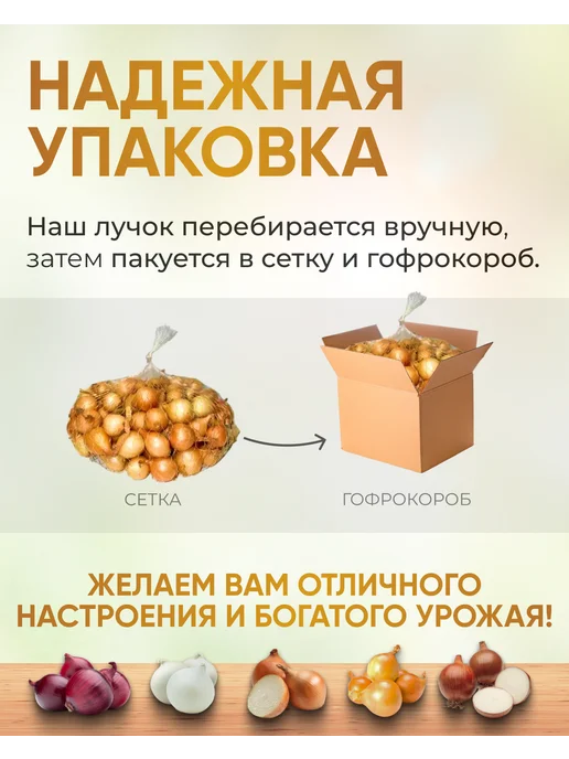 ЭКСКЛЮЗИВНЫЙ ОГОРОД Лук севок на посадку выборка сорт Дедуля 1 кг, 1 кг, фото 2
