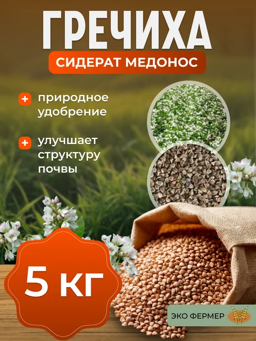 ЭКО ФЕРМЕР Гречиха семена сидерат 5 кг, 5 кг