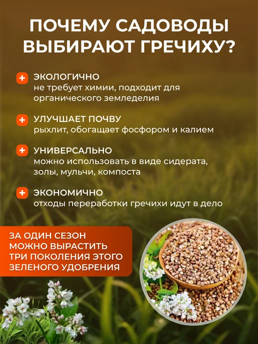 ЭКО ФЕРМЕР Гречиха семена сидерат 5 кг, 5 кг, фото 2