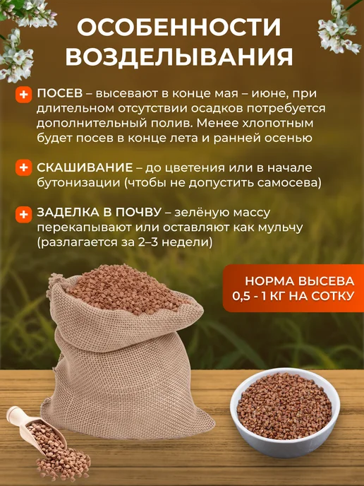 ЭКО ФЕРМЕР Гречиха семена сидерат 5 кг, 5 кг, фото 3