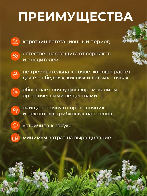 ЭКО ФЕРМЕР Гречиха семена сидерат 5 кг, 5 кг, фото 4