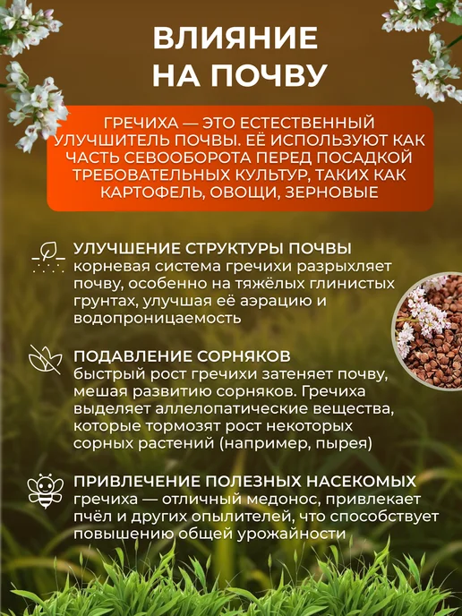 ЭКО ФЕРМЕР Гречиха семена сидерат 5 кг, 5 кг, фото 5