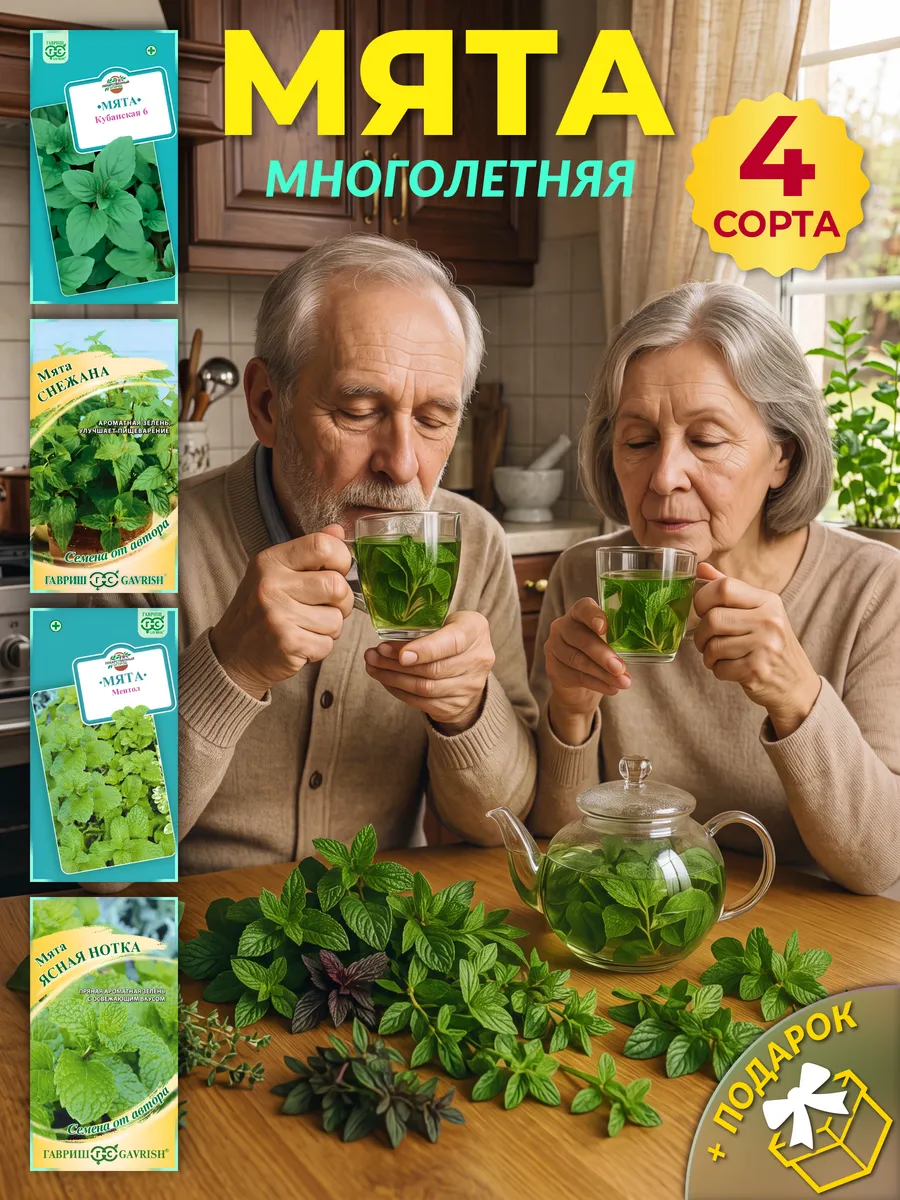 Семена мяты многолетней