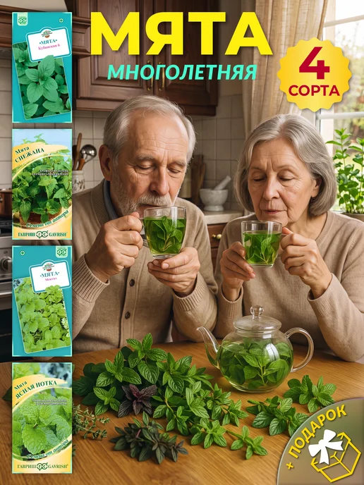 ГАВРИШ Семена мяты многолетней, зеленый