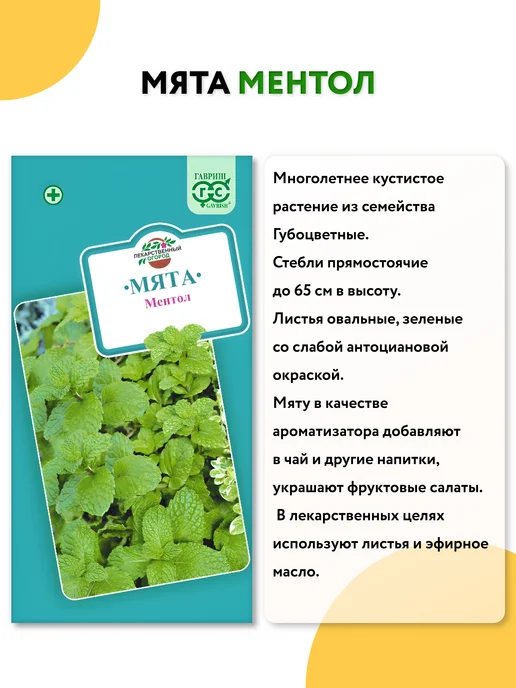 ГАВРИШ Семена мяты многолетней, зеленый, фото 3