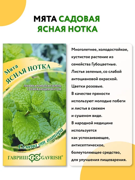 ГАВРИШ Семена мяты многолетней, зеленый, фото 4