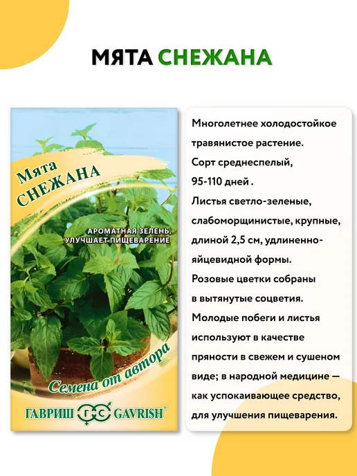 ГАВРИШ Семена мяты многолетней, зеленый, фото 5
