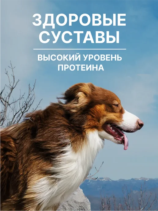 Сухой корм NERO GOLD Super Premium для собак, щенки, ягненок, 18 кг, фото 3