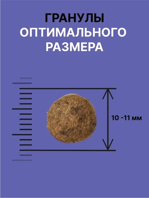 Сухой корм NERO GOLD Super Premium для собак, щенки, ягненок, 18 кг, фото 4