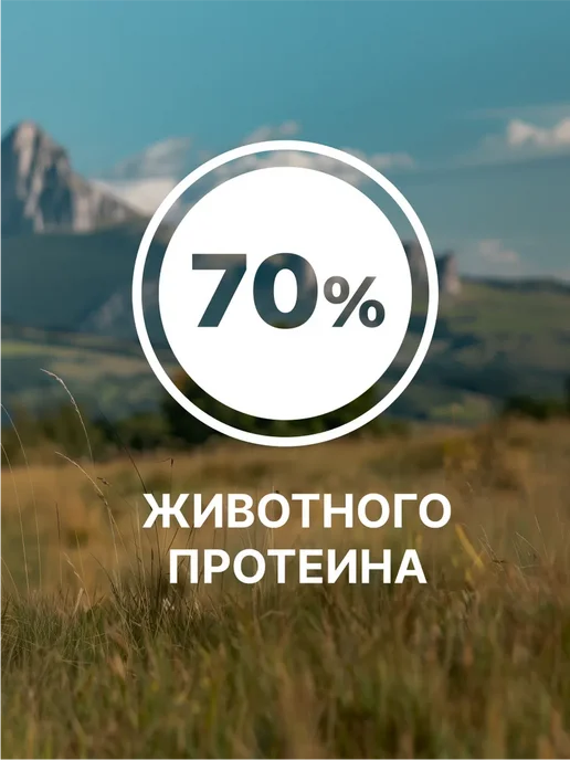 Сухой корм NERO GOLD Super Premium для собак, щенки, ягненок, 18 кг, фото 6