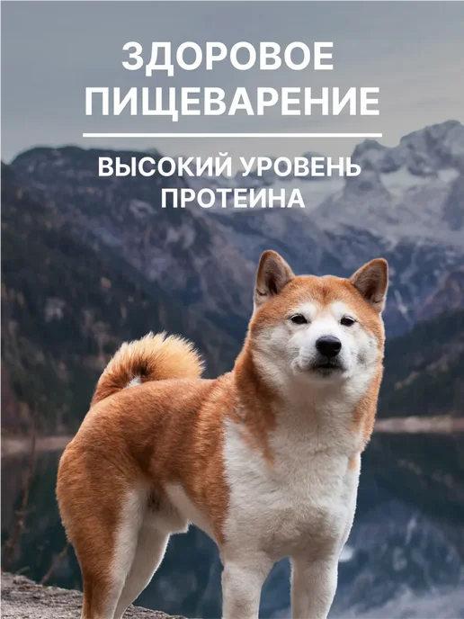 Сухой корм NERO GOLD Super Premium для собак, щенки, индейка, 18 кг, фото 3