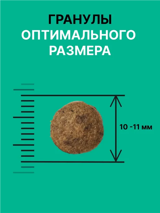 Сухой корм NERO GOLD Super Premium для собак, щенки, индейка, 18 кг, фото 4