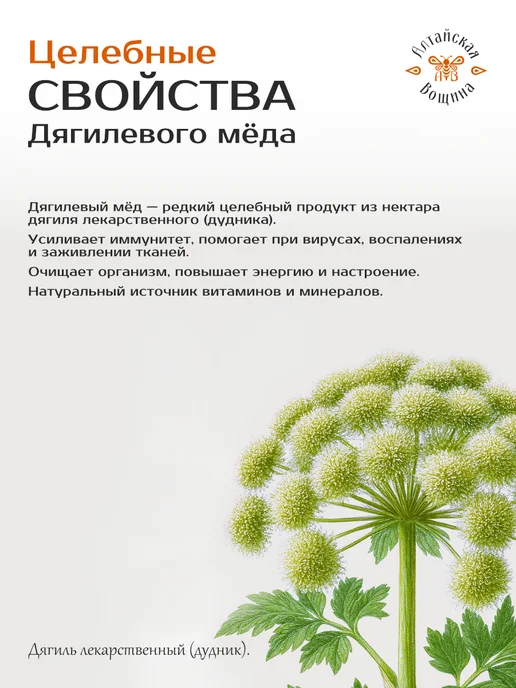 Алтайская Вощина Мед дягилевый натуральный алтайский 950 грамм, вариант, фото 4