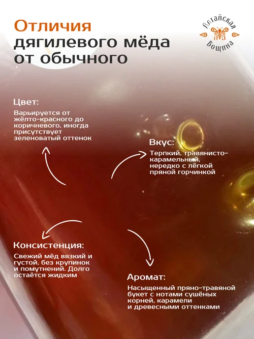Алтайская Вощина Мед дягилевый натуральный алтайский 950 грамм, вариант, фото 5