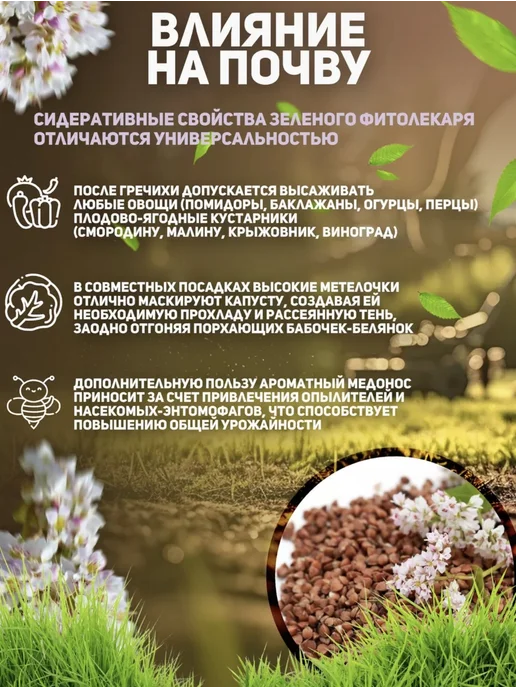Гречка ядрица, вариант, фото 4