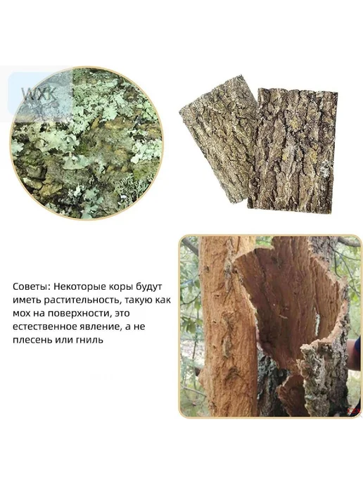 Декор пробковая плитка 30х20 см Золотые рыбки змеи - WXK, 30x20 см, фото 2