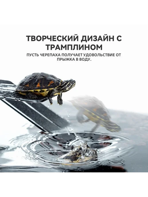 Декорация для террариума Черный Черный, прозрачный, фото 4