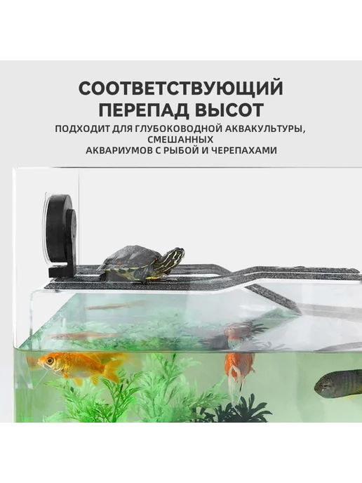 Декорация для террариума Черный Черный, прозрачный, фото 5