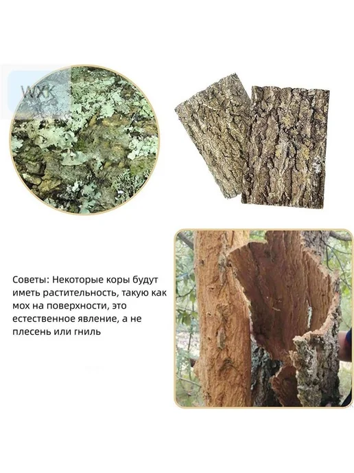 Декор фон пробк 30х20см (2шт) Золотые рыбки змеи 2шт, 2 шт, 2 шт, фото 7