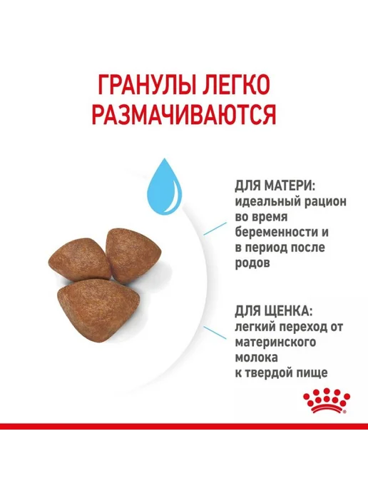 Сухой корм Royal canin Беременных Кормящих для собак, щенки, 1 кг, фото 2