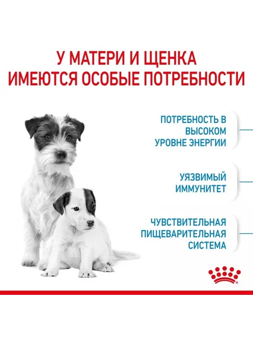 Сухой корм Royal canin Беременных Кормящих для собак, щенки, 1 кг, фото 3