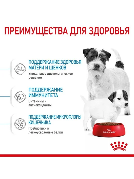 Сухой корм Royal canin Беременных Кормящих для собак, щенки, 1 кг, фото 4