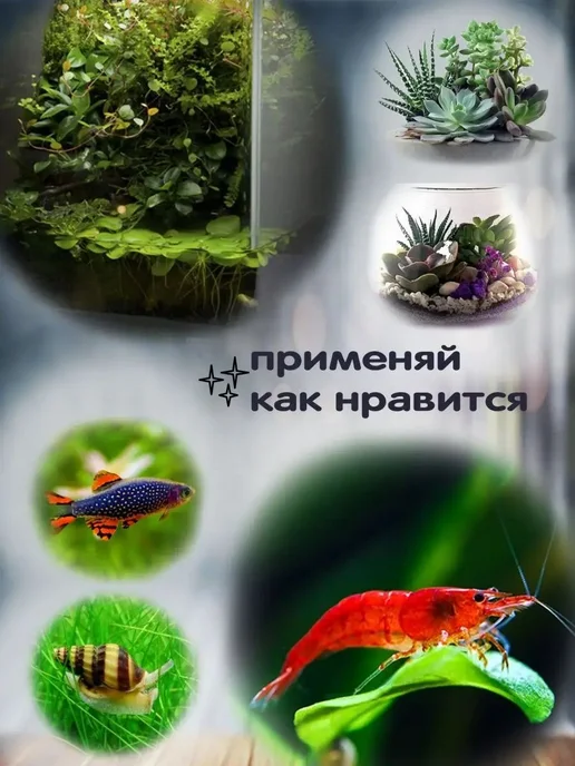 Аквариум круглый высокий 8 5л для рыбок, 5 л, фото 3
