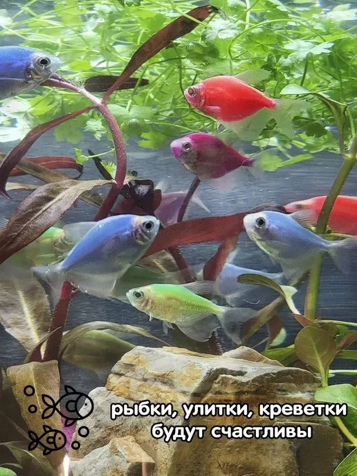 Аквариум круглый высокий 8 5л для рыбок, 5 л, фото 6