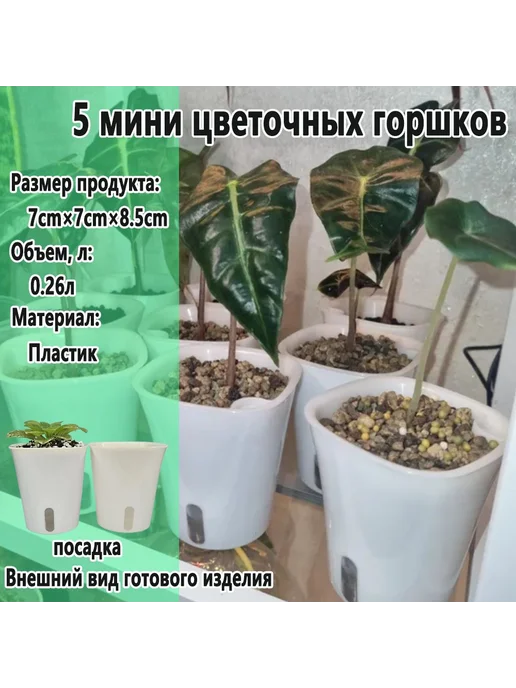 Набор горшков для цветов 5 шт Белый, 5 шт