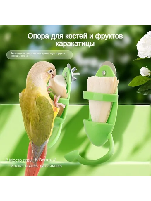 Кормушка для попугаев Держатель для сепии, вариант, фото 2