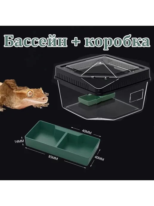 Террариум кубический каркасный д я амфибий чёрный, черный, фото 2