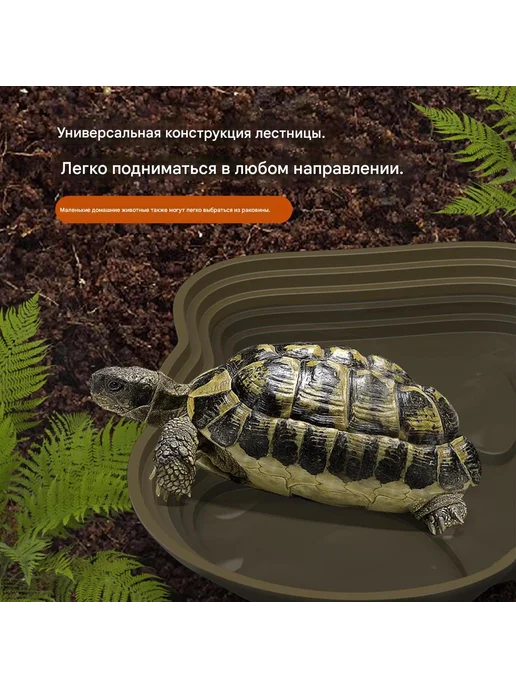 Платформа для сушки черепах Зеленый Платформа для сушки, зеленый, фото 3