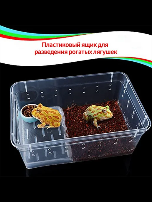 Террариум пластиковый 19*12*7 5см для амфибий змей, 19x12, фото 4