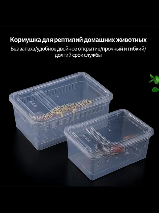 Террариум пластиковый 19*12*7 5см для амфибий змей, 19x12, фото 5