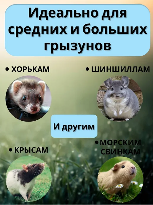 Гамак для грызунов подвесной мягкий 32х32 см Гамак, 32x32 см, фото 5